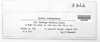 Image Associated With the Occurrence